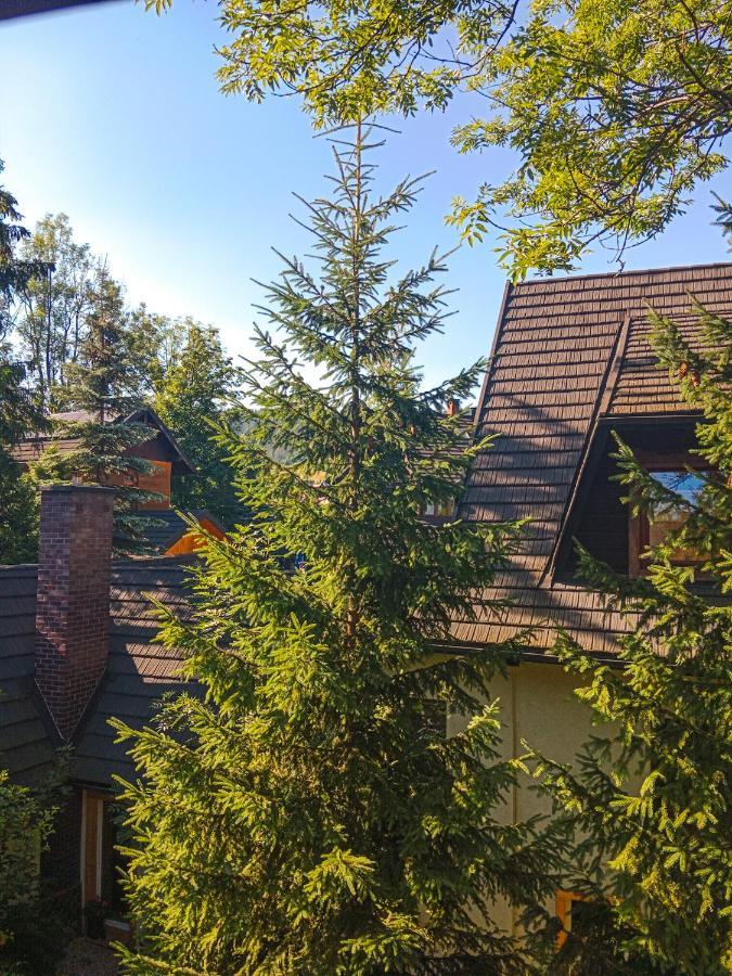 Wynajem Pokoi Goscinnych Zakopane Luaran gambar