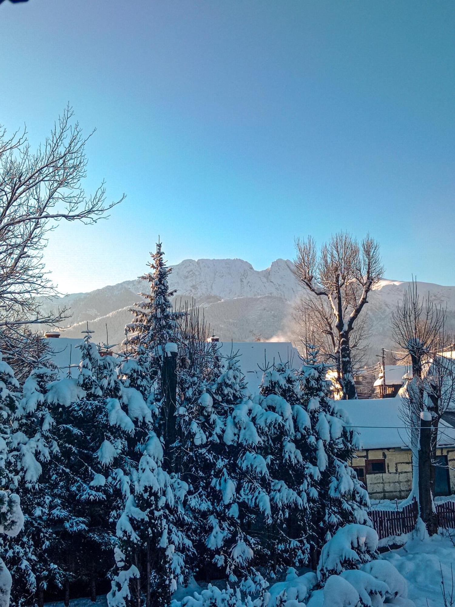 Wynajem Pokoi Goscinnych Zakopane Luaran gambar